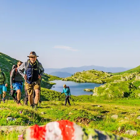 Tatil Evi Zirbenwaldhuett'n By Interhome *